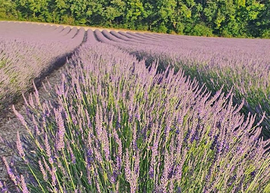 Domaine Lapeze Leilighet Montcuq Eksteriør bilde