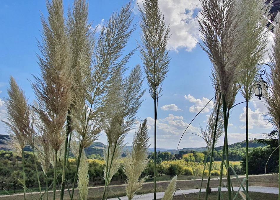 Domaine Lapeze Leilighet Montcuq Eksteriør bilde